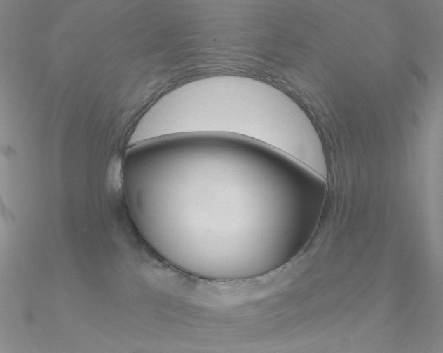 X0000090970041200708021151