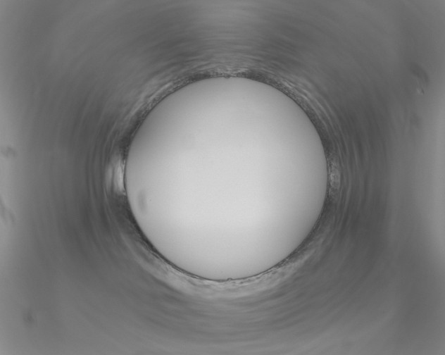 X0000090970046200708021151