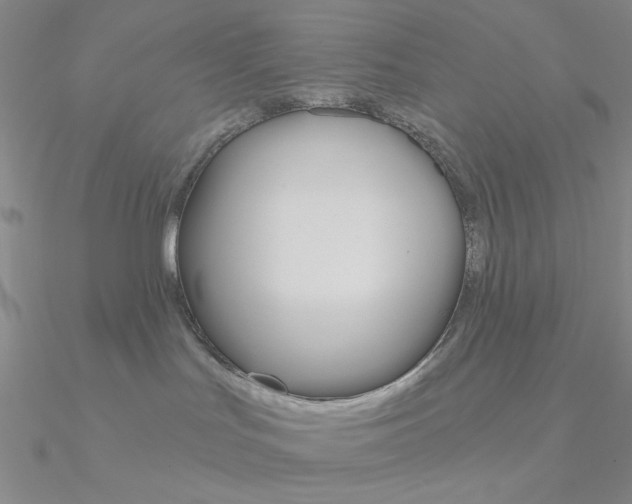 X0000090970047200708021151