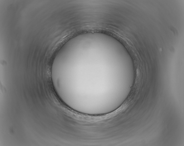 X0000090970048200708021151