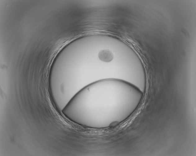 X0000090970049200708021151