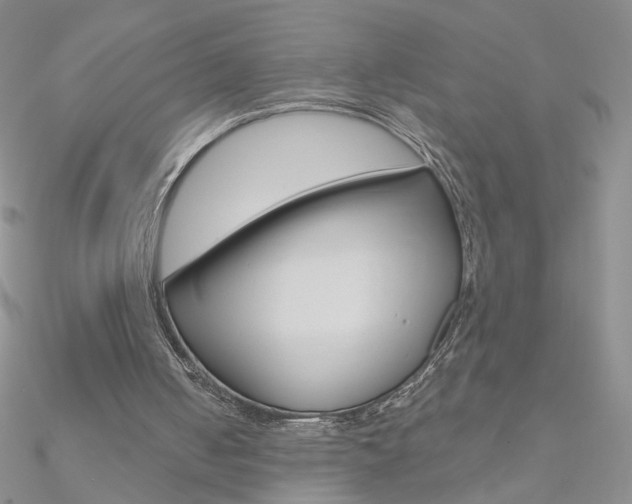 X0000090970050200708021151