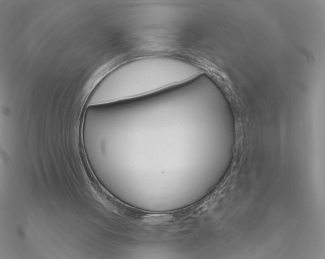 X0000090970051200708021151