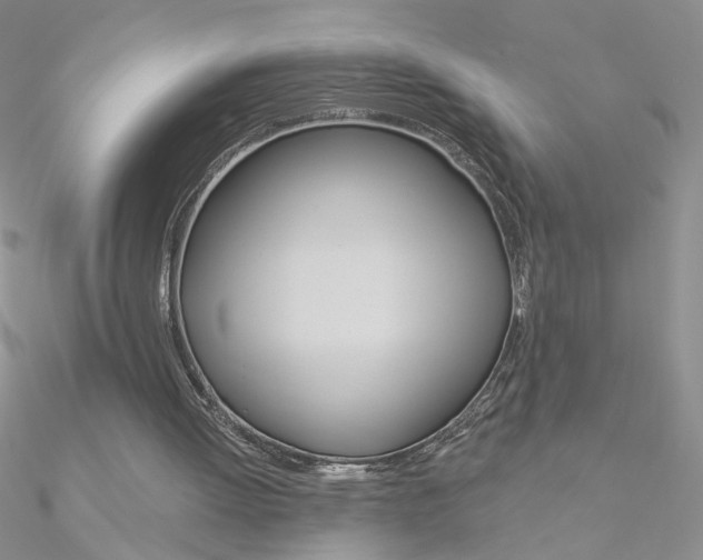 X0000090970052200708021151