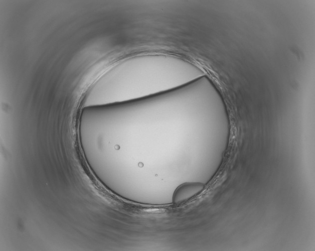 X0000090970053200708021151