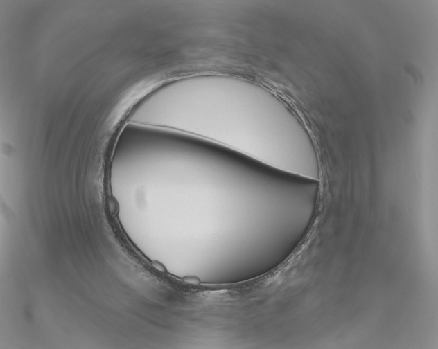 X0000090970054200708021151