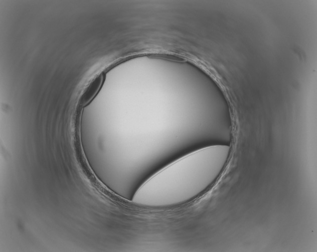 X0000090970055200708021151