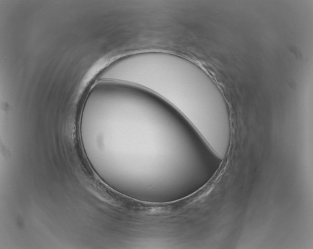 X0000090970056200708021151