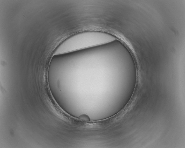 X0000090970057200708021151