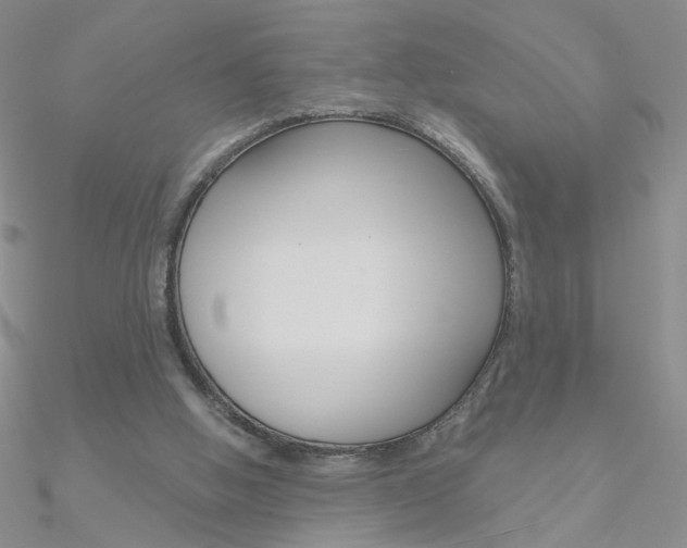 X0000090970058200708021151