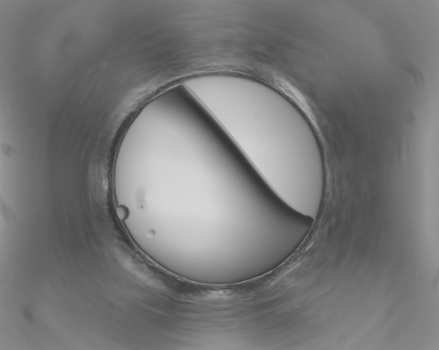 X0000090970059200708021151