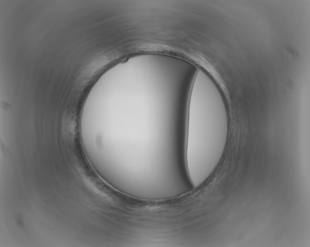 X0000090970063200708021151