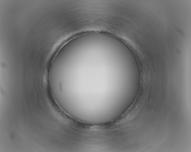 X0000090970064200708021151