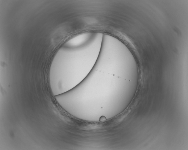 X0000090970065200708021151