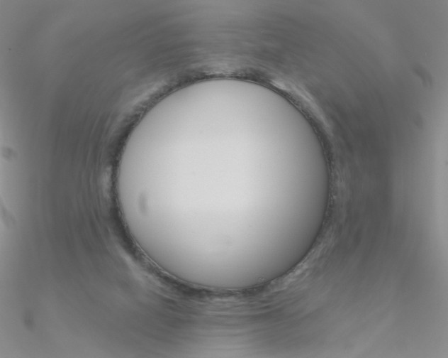 X0000090970066200708021151