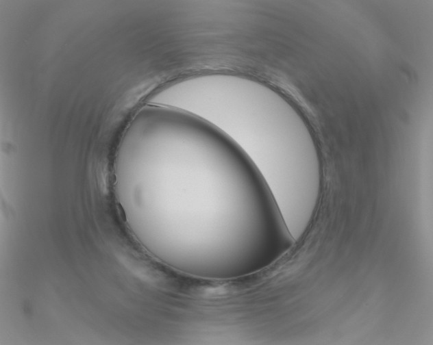 X0000090970068200708021151