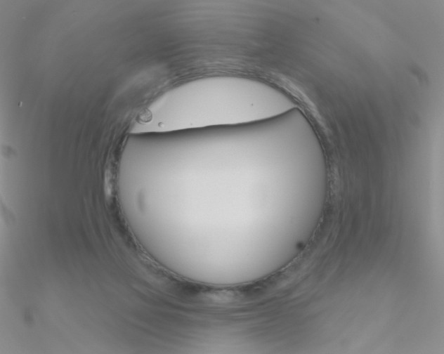 X0000090970069200708021151