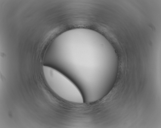 X0000090970070200708021151