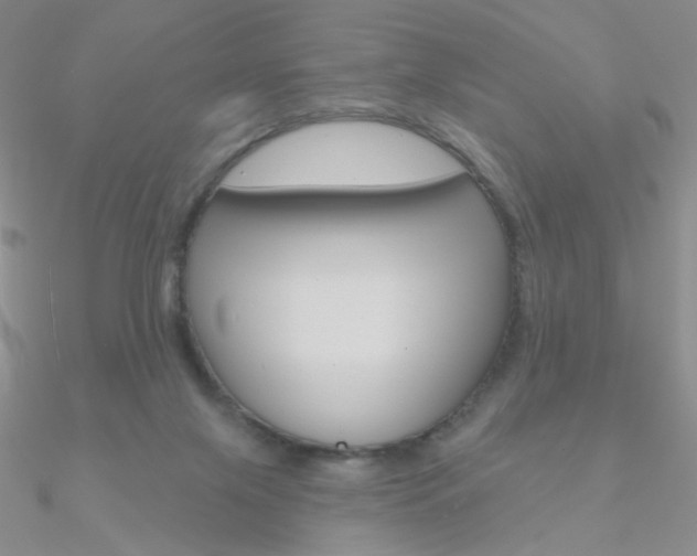 X0000090970071200708021151