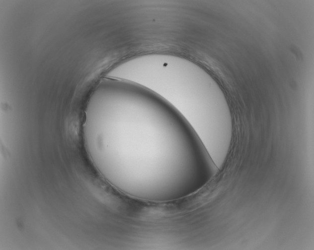 X0000090970072200708021151