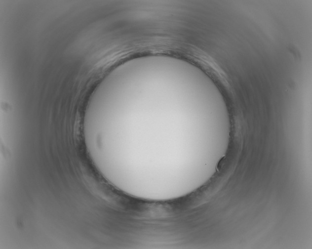 X0000090970073200708021151