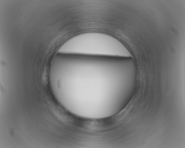 X0000090970074200708021151