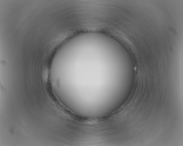 X0000090970076200708021151