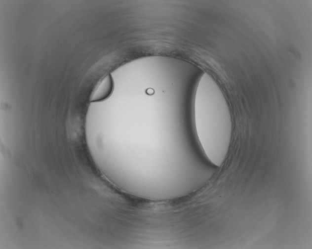 X0000090970077200708021151