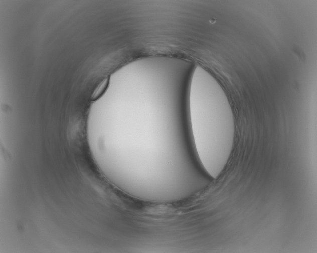 X0000090970079200708021151