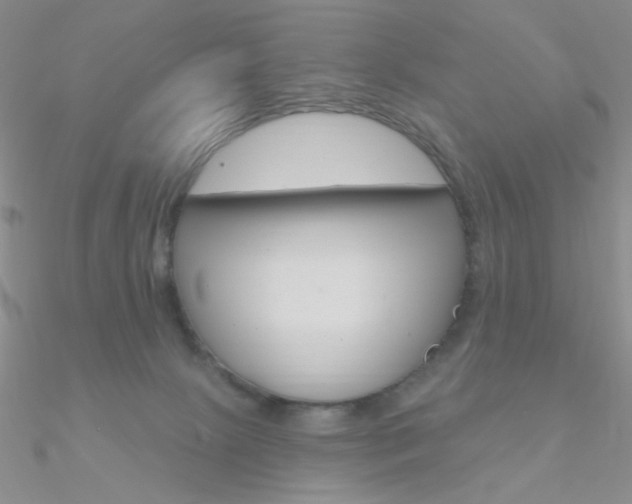 X0000090970081200708021151