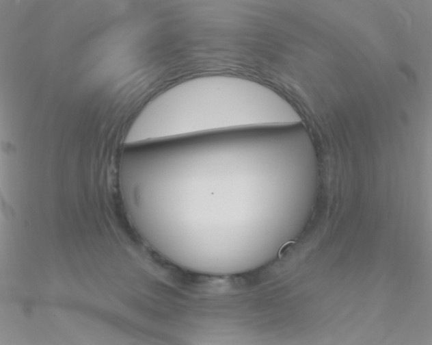 X0000090970083200708021151