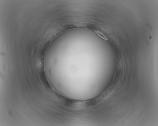 X0000090970084200708021151