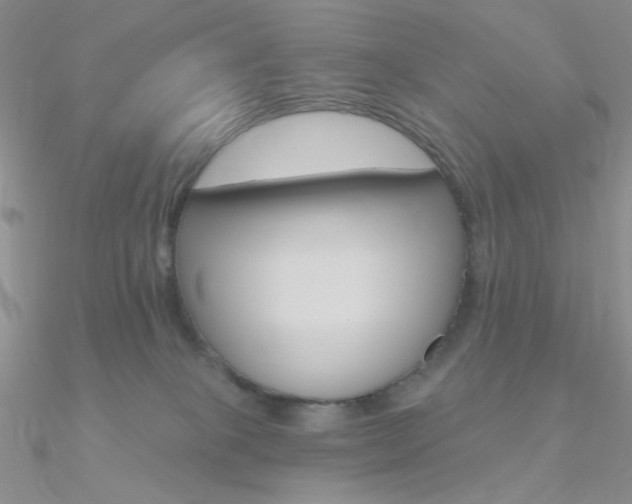 X0000090970085200708021151