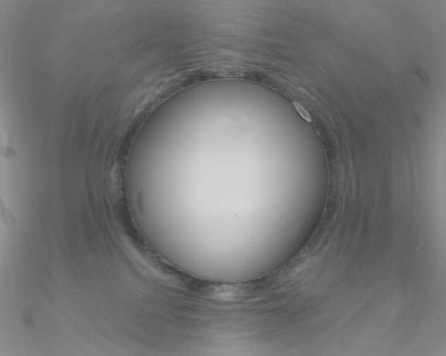 X0000090970088200708021151