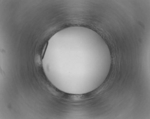 X0000090970089200708021151