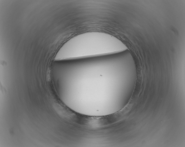 X0000090970090200708021151