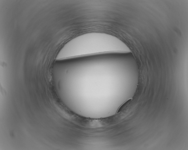 X0000090970091200708021151