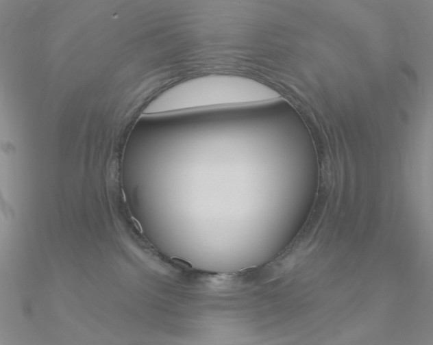 X0000090970092200708021151