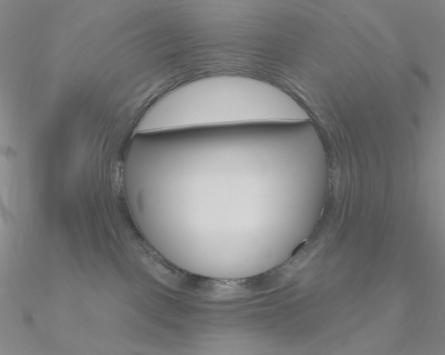 X0000090970093200708021151