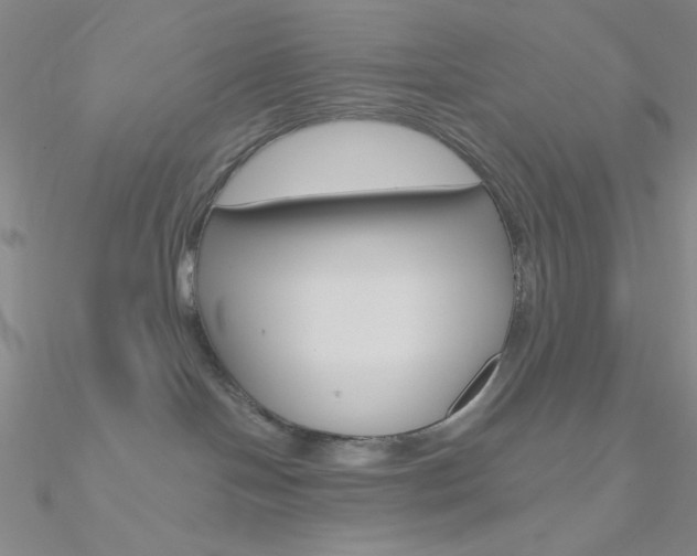 X0000090970094200708021151