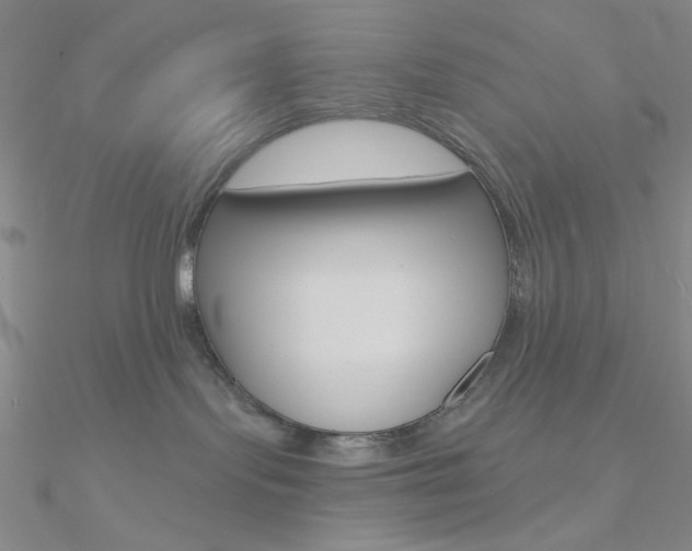 X0000090970095200708021151