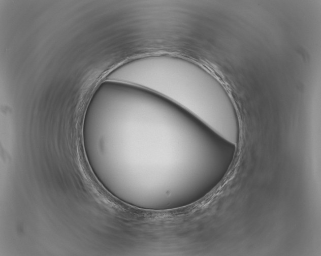 X0000090970097200708021151