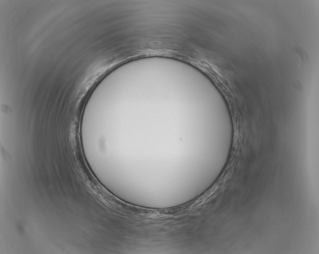 X0000090970098200708021151