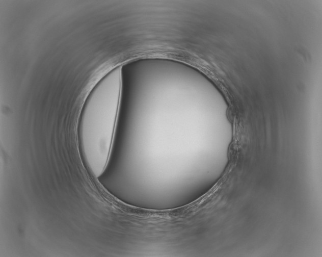 X0000090970099200708021151