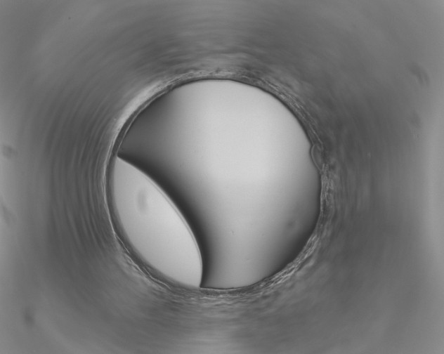 X0000090970100200708021151