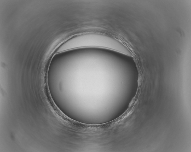 X0000090970101200708021151