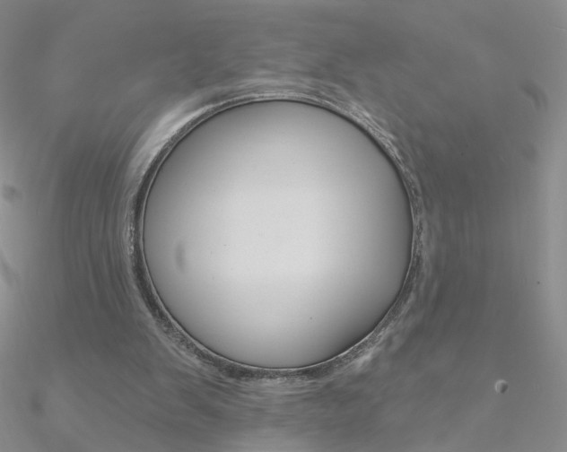 X0000090970103200708021150