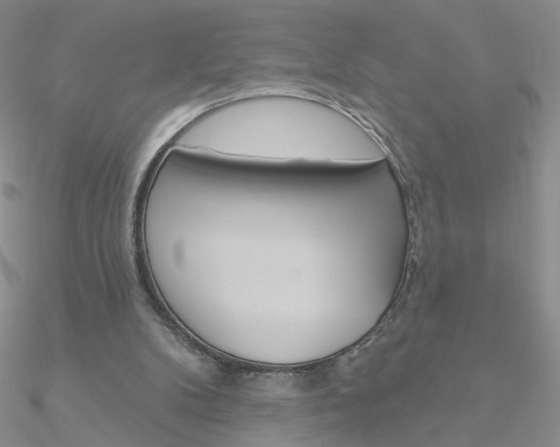 X0000090970104200708021150