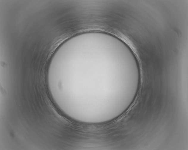 X0000090970105200708021150