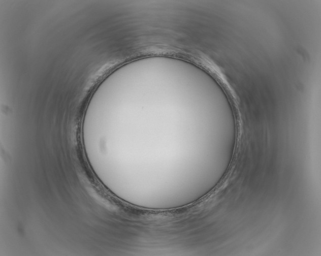 X0000090970106200708021150